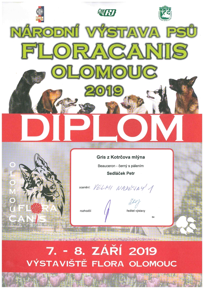 doc_IT_20190910103659_001
